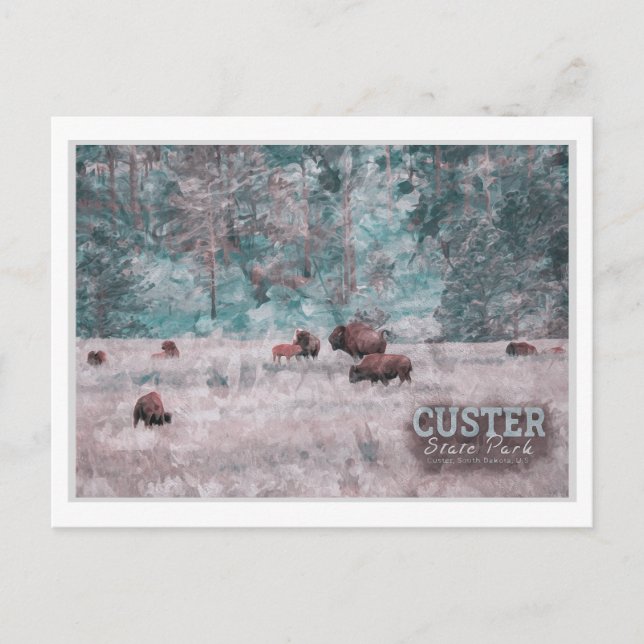 CARTE POSTALE CUSTER SOUTH DAKOTA - HERBE D'EAU DE BISON (Devant)