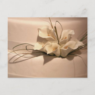 Carte Postale Customisez votre propre calla lily