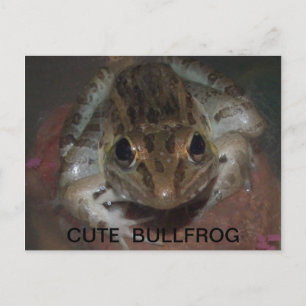CARTE POSTALE CUT BULLFROG