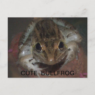 CARTE POSTALE CUT BULLFROG