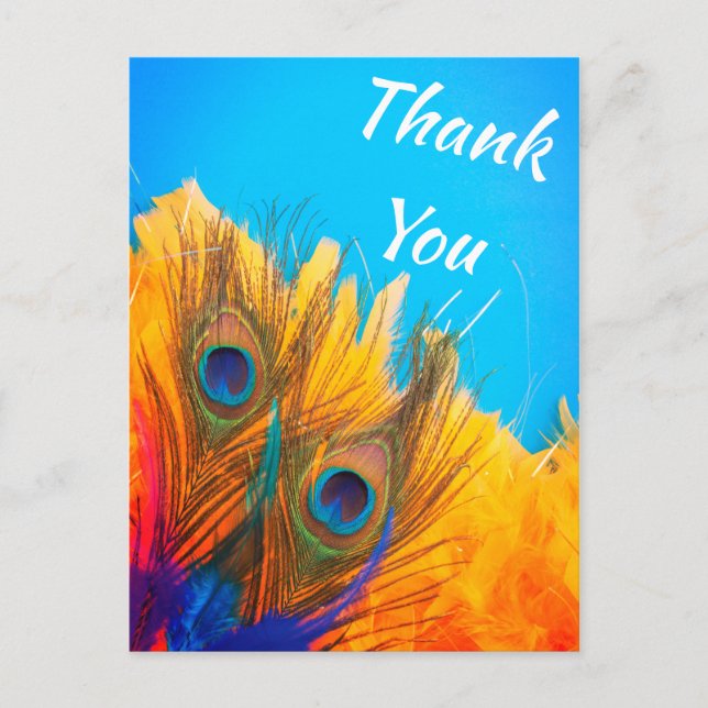 Carte Postale Cute Aqua Blue Elegant Peacock Feather (Devant)