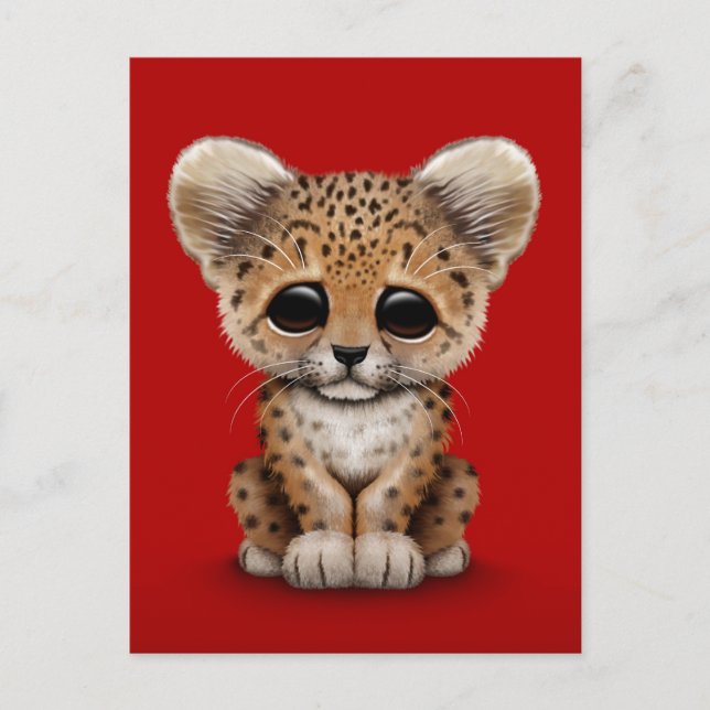 Carte Postale Cute Baby Leopard Cub sur Red (Devant)
