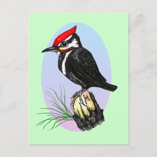 Carte postale Cute Baby Woodpecker (Devant)