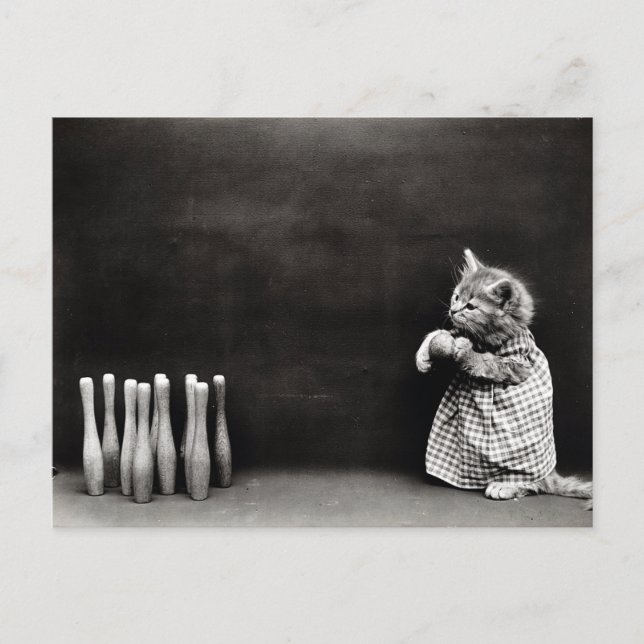Carte Postale Cute Bowling Kitten Vintage (Devant)