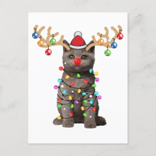 Carte Postale Cute britannique Shorthair Chat Funny Noël