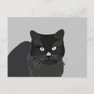Carte Postale Cute chat animal animal animal animal animal