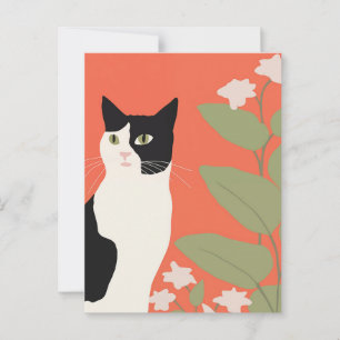 Carte Postale Cute chat noir et blanc