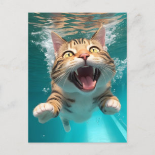 Carte Postale Cute Chat Plongée sous l'eau dans la piscine Amusa