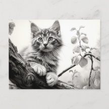 Cute chaton à jouer - Dessin noir et blanc