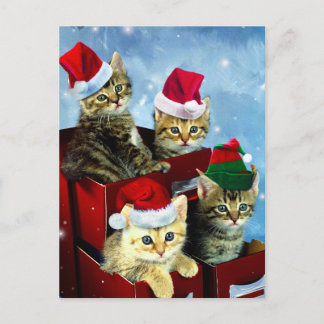 Carte Postale Cute chatons avec casquettes x-mas
