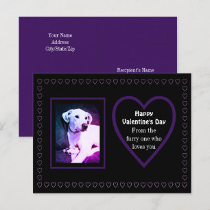 Carte Postale Cute Chien Blanc Chien Violet Coeurs De Animaux