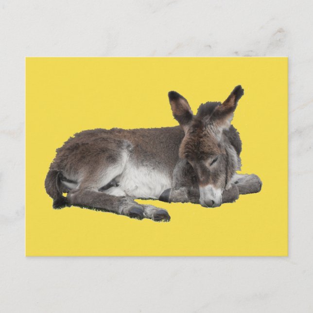 Carte Postale Cute chocolate donkey baby foal sleeping on yellow (Devant)