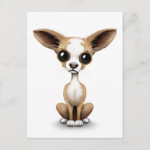 Carte Postale Cute Curieux Chihuahua avec de grandes oreilles en