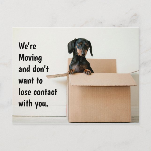 Carte Postale Cute Dachshund Changement d'adresse (Devant)