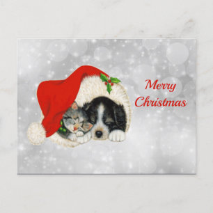 Carte Postale Cute Dog Cat Santa Cap
