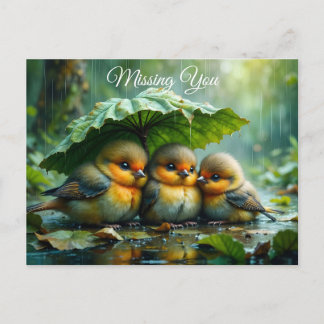 Carte Postale Cute fluffy birds in rain *Missing You*