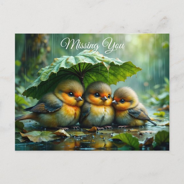 Carte Postale Cute fluffy birds in rain *Missing You* (Devant)