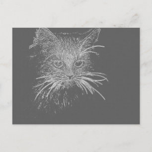 Carte Postale Cute Funky Chat Kitten Eyes face croquis