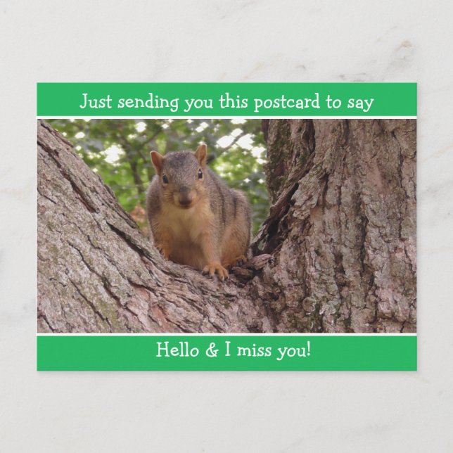 Carte Postale Cute Funny Squirrel Juste dire Bonjour et Mlle Vou (Devant)