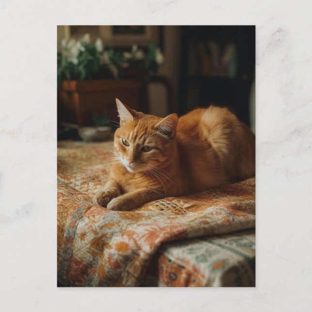 Carte postale Cute Ginger Kitty (Devant)