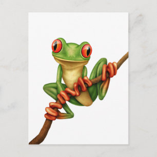 Carte Postale Cute grenouille verte sur une branche sur blanc
