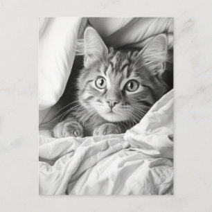 Carte Postale Cute Gris Tabby Chat