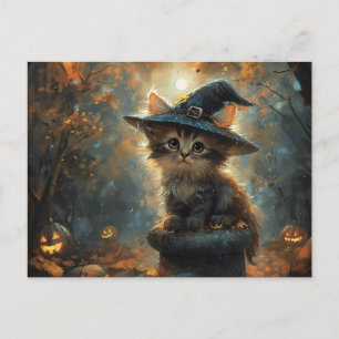 Carte Postale Cute Kitten portant un Casquette sorcier