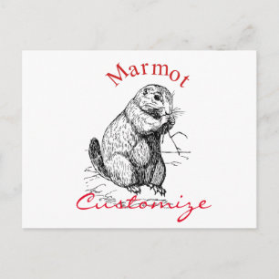 Carte Postale Cute Marmot Animal Thunder_Cove