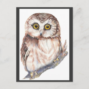 Carte Postale Cute Owl - Aquarelle Collection d'oiseaux