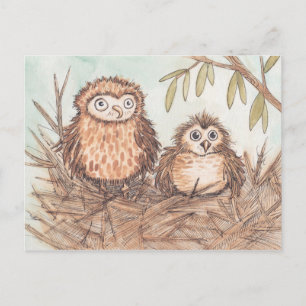 Carte Postale Cute Owl Brothers