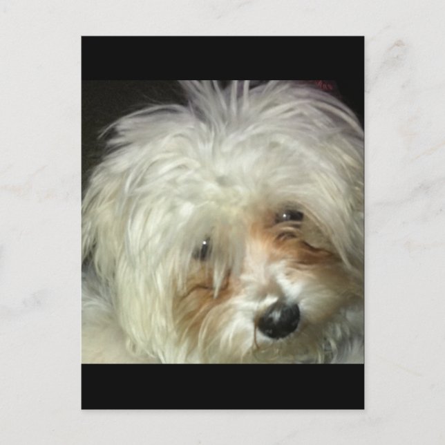 Carte Postale Cute Petit Casper (Devant)