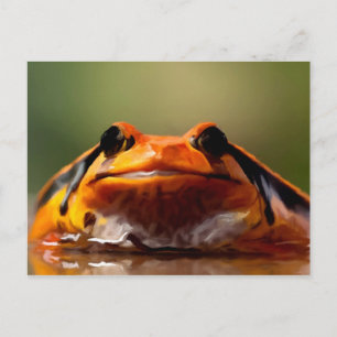 Carte Postale Cute Petite Grenouille Nature Amphibienne