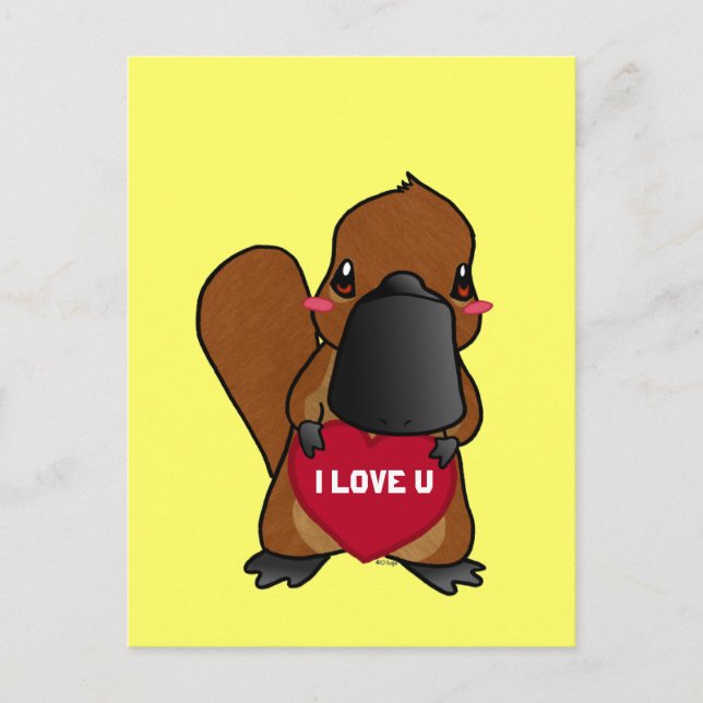 Carte Postale Cute Platypus (Devant)
