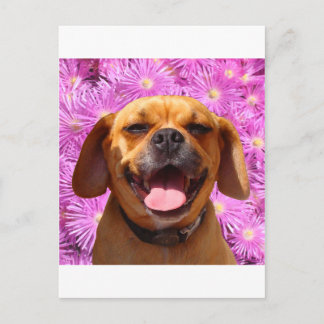 Carte Postale Cute Puggle