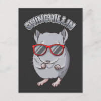 Cute Rodent Chinchilla avec lunettes de soleil