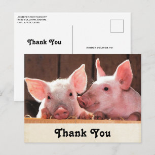 Carte Postale Cute rose Piglets Merci photo animal