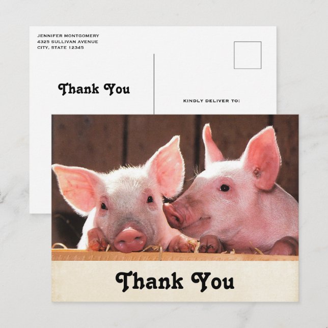 Carte Postale Cute rose Piglets Merci photo animal (Devant / Derrière)
