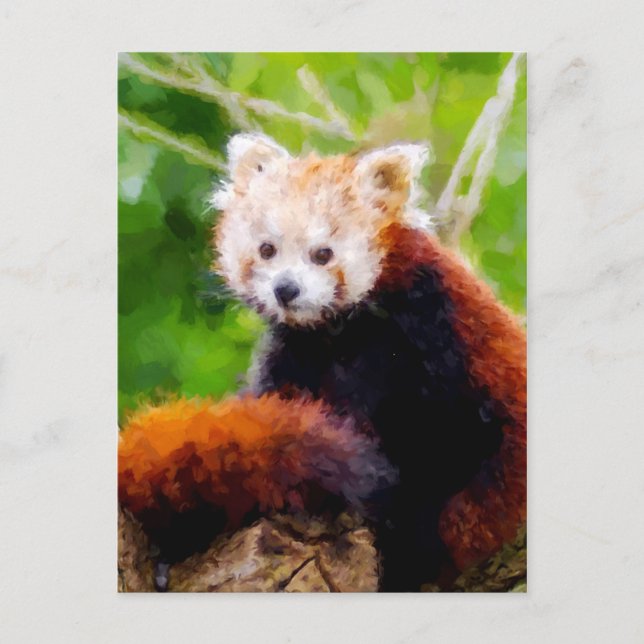 Carte Postale Cute Rouge Panda Animal Peint À La Main (Devant)