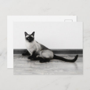 Carte Postale CUTE Siamese Portrait de chat