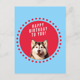 Carte Postale Cute Siberian Husky Joyeux Points rouges bleus d'a
