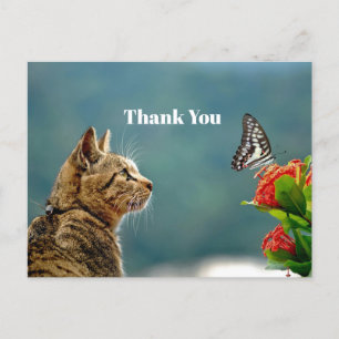 Carte Postale Cute Tabby Merci photo papillon de chat