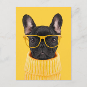 Carte Postale Cutest Baby Animals French Bulldog Sunglasses