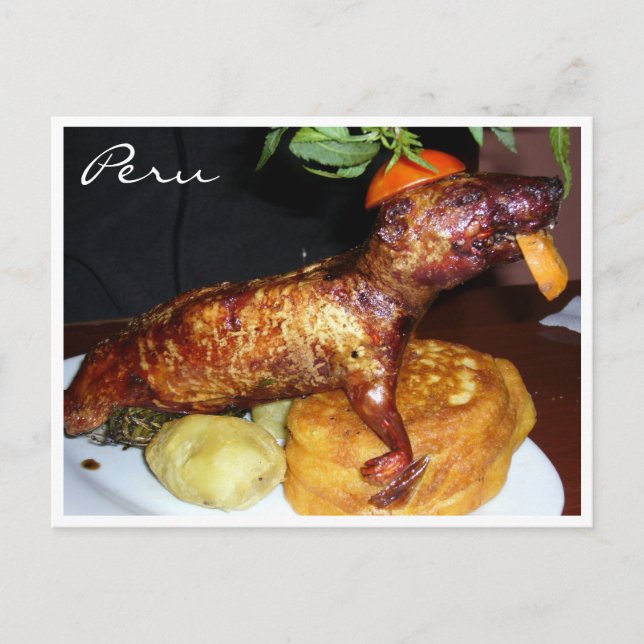 Carte Postale cuy peru (Devant)