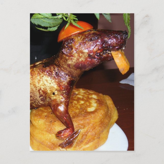 Carte Postale cuy peru (Devant)