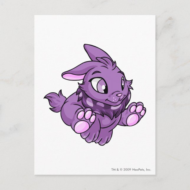 Carte Postale Cybunny pourpre (Devant)