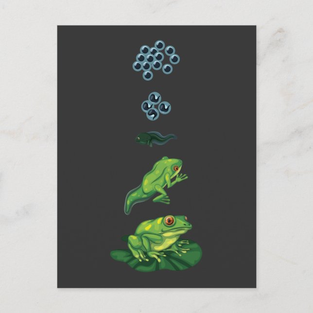 Carte Postale Cycle de vie Grenouille Métamorphose Oeuf Tadpole  (Devant)