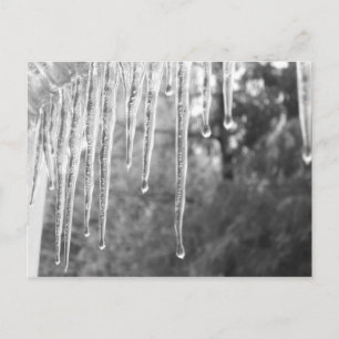 Carte Postale Cycles de glace