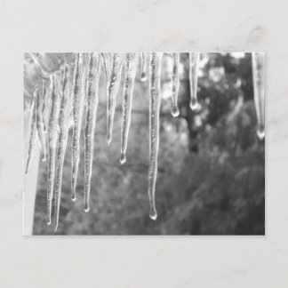 Carte Postale Cycles de glace