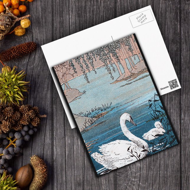 Carte Postale Cygne blanc élégant avec le bébé (Beautiful white swan with baby swimming in blue lake black borders on postcard.)