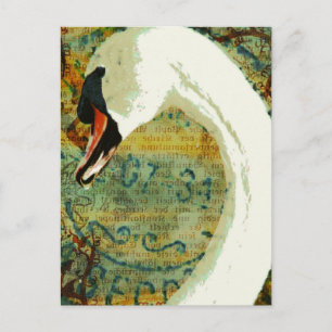 Carte Postale Cygne de collection numérique